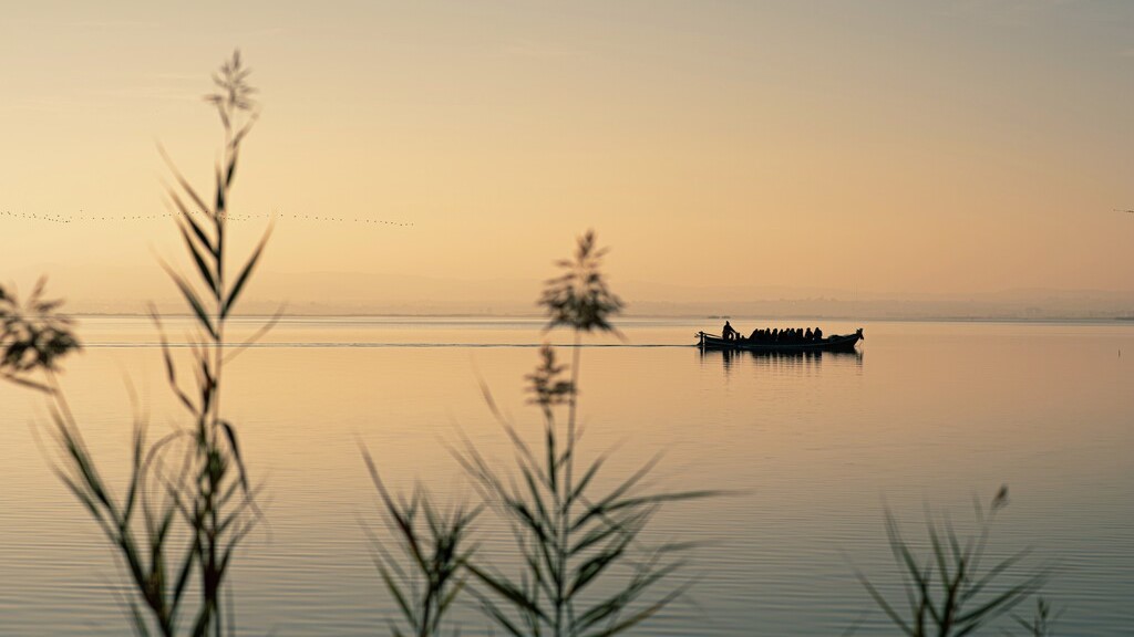 0621 Lluent Albufera