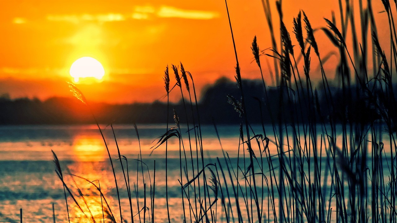 0731 Sol i Albufera