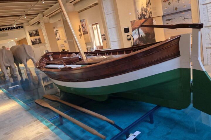 El Museu de la Mar de Valencia abrira sus puertas en septiembre tras culminar la rehabilitacion de la historica Casa dels Bous 2