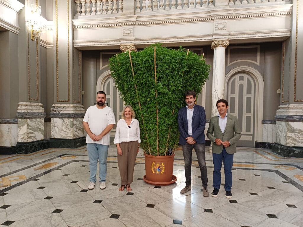 Una alfabega monumental de Betera ya puede visitarse en el Ayuntamiento de Valencia 1