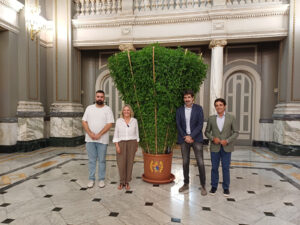 Una alfabega monumental de Betera ya puede visitarse en el Ayuntamiento de Valencia 1