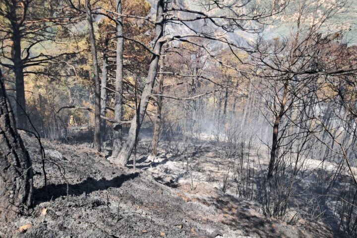 Daniel Gomez consecuencias incendio Las Penas de Riglos 2 2026