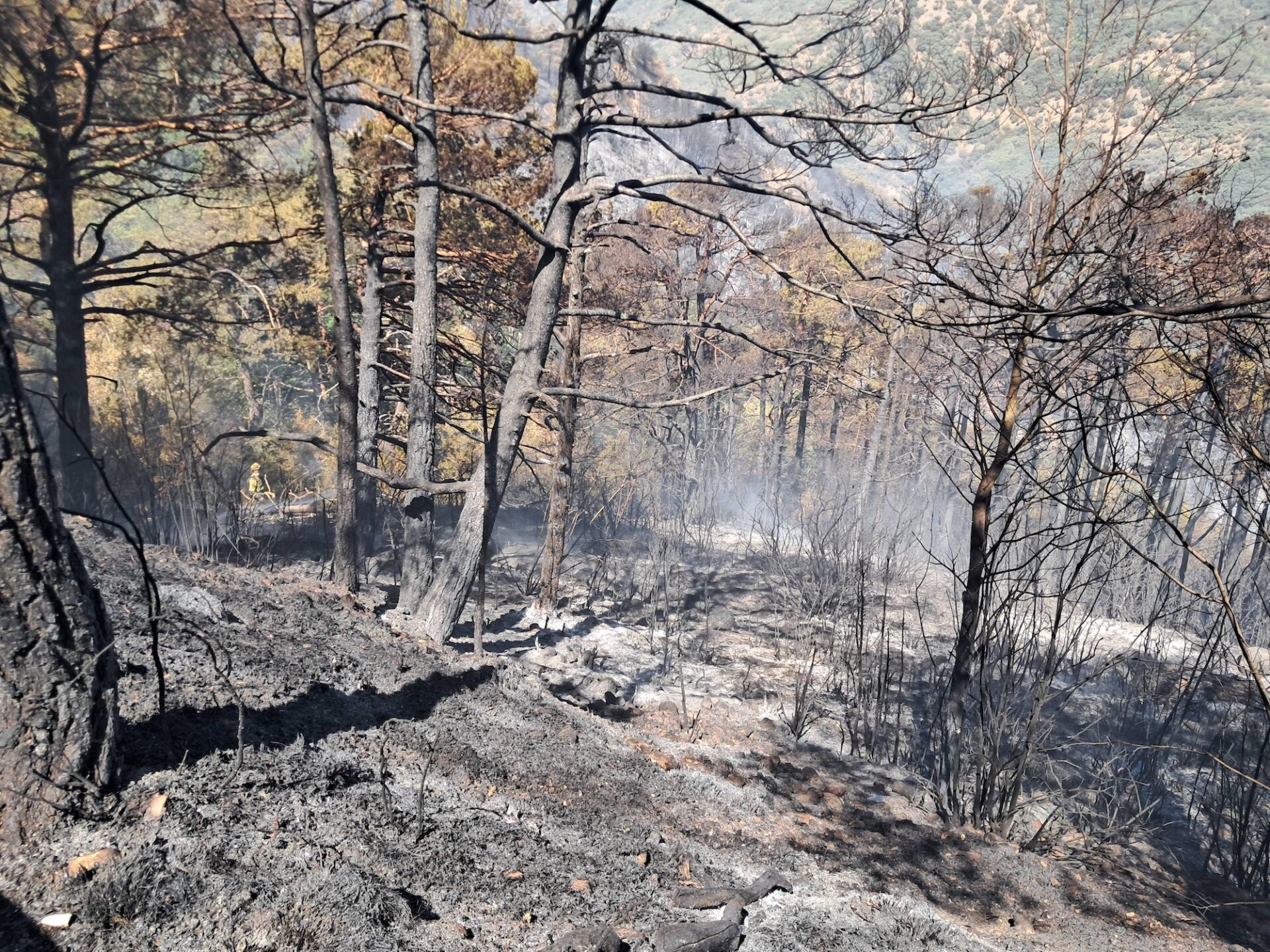 Daniel Gomez consecuencias incendio Las Penas de Riglos 2 2026